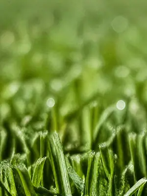 Grass Macro, Portrait football wallpaper, 2160 by 3840 pixels (AI-generated image)