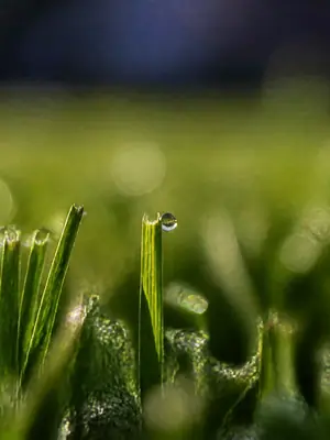 Grass Macro football wallpaper, 3840 by 2160 pixels (AI-generated image)