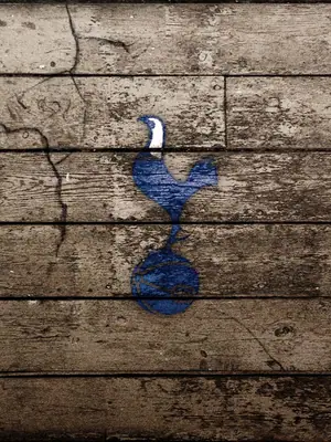 Tottenham wallpaper, 1680 by 1050 pixels