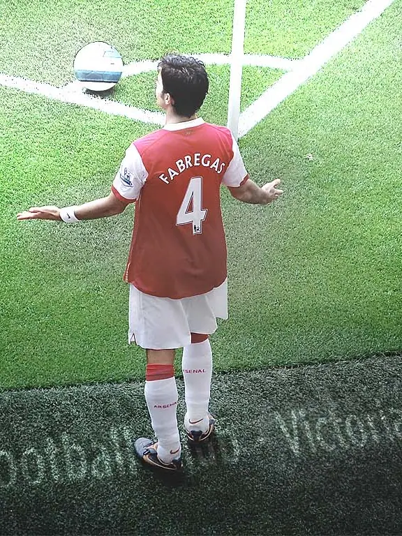 Cesc Fabregas Wallpaper, 1366 by 768 pixels