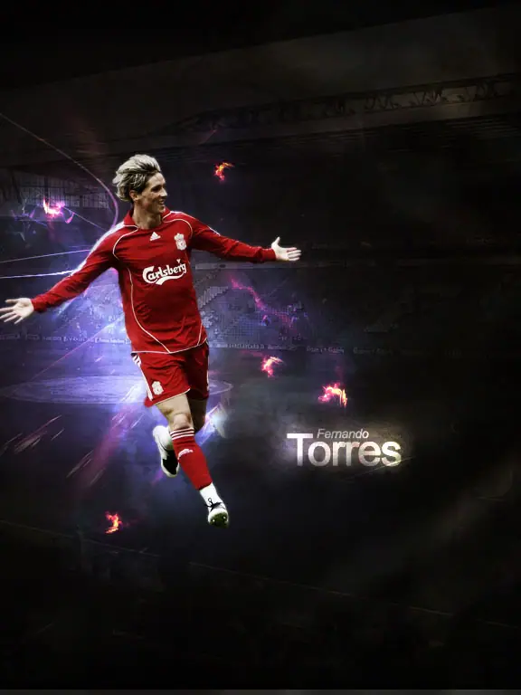 Fernando Torres Wallpaper, 1024 by 768 pixels
