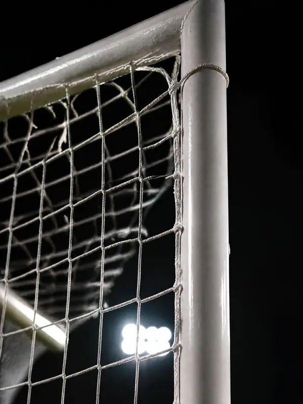 Goal Net, Portrait, 2160 by 3840 pixels (AI-generated image)