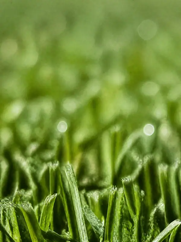 Grass Macro, Portrait, 2160 by 3840 pixels (AI-generated image)