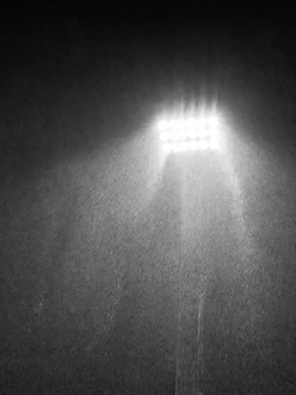 Rain, Black and White, 3840 by 2160 pixels (AI-generated image)