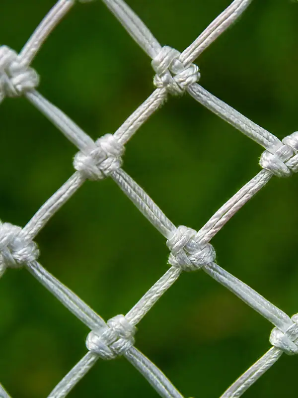 Goal Net Macro, 3840 by 2160 pixels (AI-generated image)