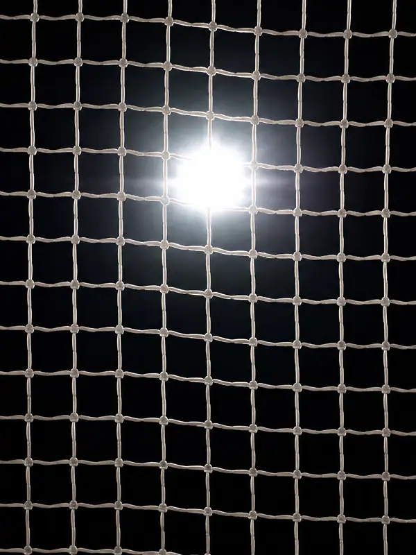 Framed by Net, 3840 by 2160 pixels (AI-generated image)